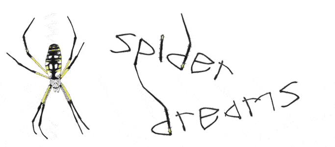 spider dreams